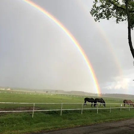 Pod Jeleniem 펜션 *